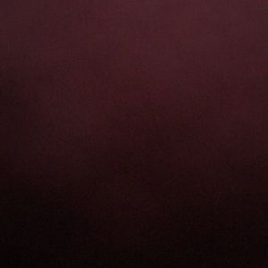 Meet your Posher, Alisha